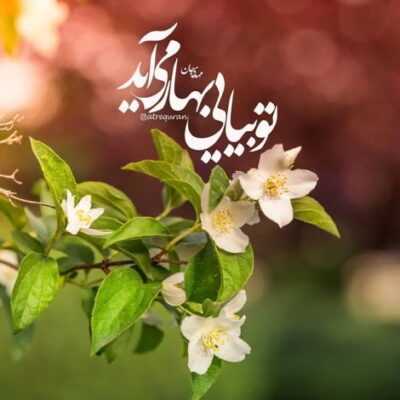 دانلود آهنگ ما کی باشیم وقتی به تو ارباب میگه بنفسی انت یا عباس می نابم ابالفضله