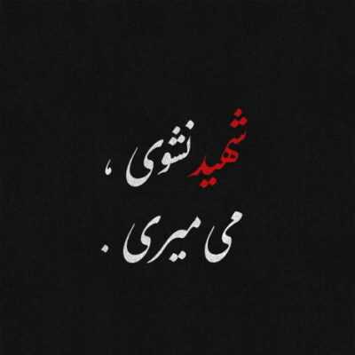 دانلود آهنگ به یاد آن وفاداران وفاداری کن دریغا آفتاب کربلا سوزان است