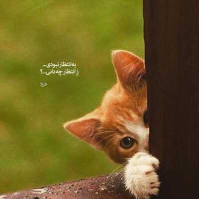 دانلود آهنگ  کیه مث تو که پشتم دراد اینجوری پیش بره 