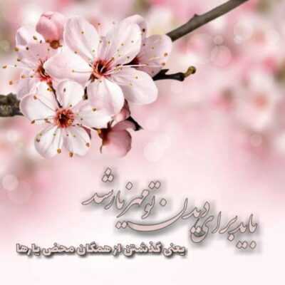 دانلود آهنگ ما رو ما پای همین پرچم دلخوش به تولاییم با گریه به ثارالله فاتح دنیاییم