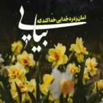 دانلود مداحی ندارم آقا هیچ گله چی کار کنم کار دله ولی داره فراق تو رضا نریمانی