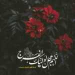 دانلود مداحی راه علی راه تموم خانواده منه حب علی نشونه حلال زاده بودنه رضا نریمانی دانلود مداحی راه علی راه تموم خانواده منه حب علی نشونه حلال زاده بودنه رضا نریمانی