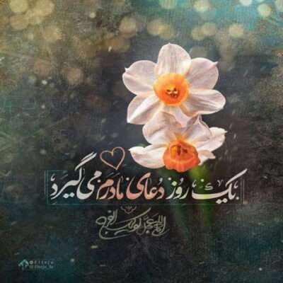 دانلود آهنگ هر چی بدم باز اومدم شکر خدا صدام زدی زانو زدم بهت رو زدم قلب منو پاک کردی