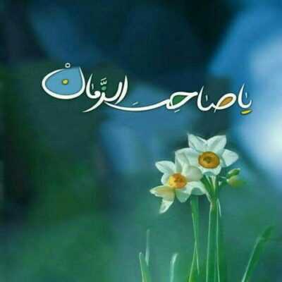 دانلود آهنگ زینب رسید به کربلا زهرا عزادار شد هی سینه می کوبه میگه ای کاش که برگرده
