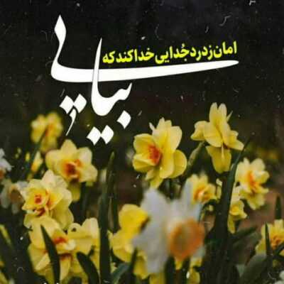دانلود آهنگ ماه‌ محرم اومد قراره قلب زارم اومد چه شوری باز تو عالم اومد دوای هر چی دردم اومد