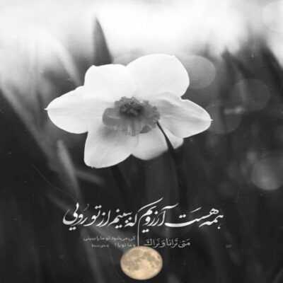 دانلود آهنگ  ولی دل به علم بستم حسین چه سعادتی چه ذکر با حلاوتی