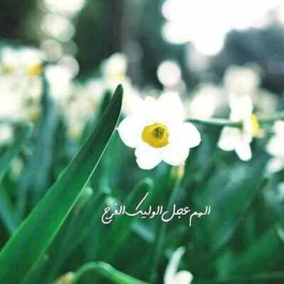 دانلود آهنگ  ذلت تسلیم ز مرگ بدتر الله اکبر الله اکبر حسین سرباز ره دین بود