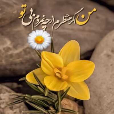 دانلود آهنگ من رفیق زیاد داشتم باوفا یه چیز دیگست من سفر زیاد رفتم 