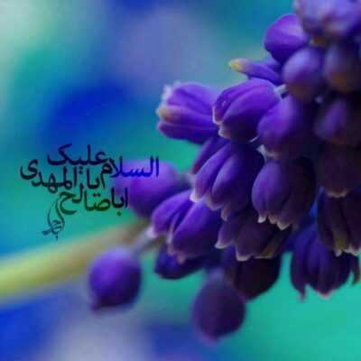 دانلود آهنگ جان تو جان حرم بود ای که حالا نیمه جانی یا اباالفضل بود امیدم تو امشب