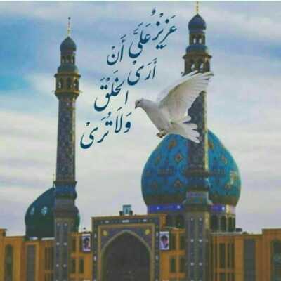 دانلود آهنگ برادر جان بی تو در دل صحرا شده تنها خواهرت گل زهرا