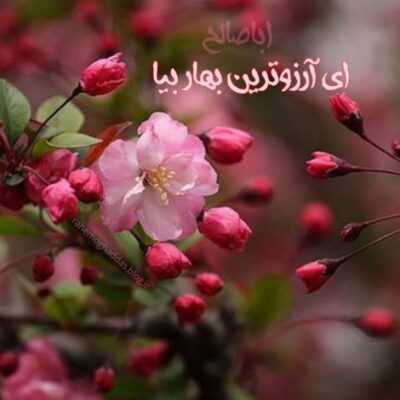 دانلود آهنگ یه دسته گل دارم برای این حرم میدم یه دسته گل دارم برای این حرم میدم