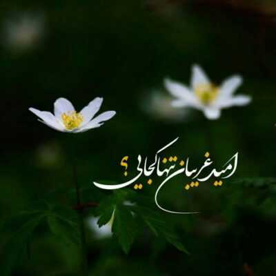 دانلود آهنگ ای سایه سرم تا که تو رفتی همسرم همش بهونه‌ی تو رو میگیره دخترم