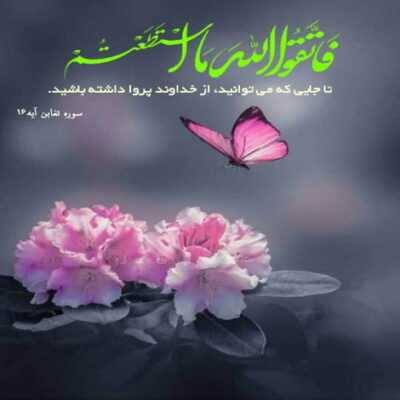 دانلود آهنگ  خدا چه مهربونه همه چیز و میدونه مشیتش همین بود