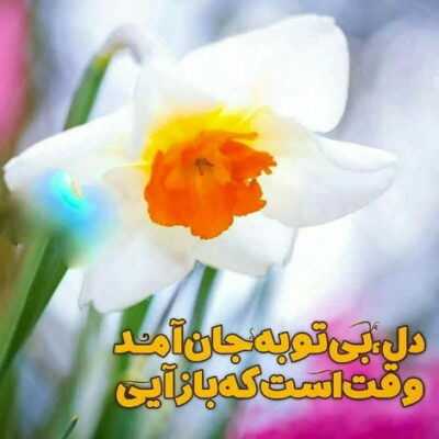 دانلود آهنگ  میخوام مث عابس شم حسین من دنیا شده به کامم دلخوش به این مقامم در خونت غلامم 