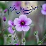 دانلود مداحی جانم جانم به شفای تربتت به پر علامتت به دلی که میتپه برای زیارتت مجید بنی فاطمه
