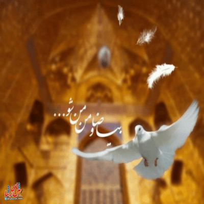 دانلود آهنگ دخترت را نشناسی به نگاهی نه سری مانده نه موی سیاهی
