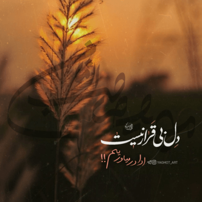 دانلود آهنگ بعد صد سال اگر از سر قبرم گذری کفنی پاره کنم زندگی از سر گیرم