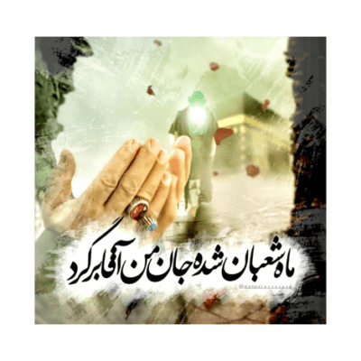 دانلود آهنگ عرفه میهمان نمی خواهی هوس کربلای تو کردم