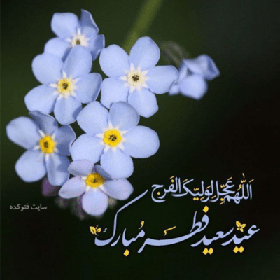 دانلود آهنگ و سهلا حسین رسید به کربلا اهلا و سهلا