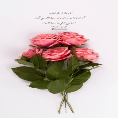 دانلود مداحی عموت میشناسی که مادر مطمعنم که آب نخورده محمود کریمی دانلود آهنگ عموت میشناسی که مادر مطمعنم که آب نخورده