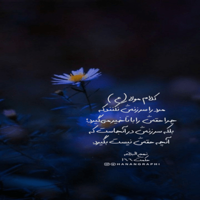 دانلود آهنگ ندارم به خدا جز هوس ديدن رويش مرا كشته به والله علي