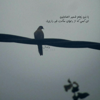 دانلود آهنگ به دلم کن یک نگاهی تا نماند یک گناهی