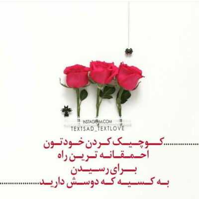 دانلود آهنگ  تمام لحظه های خوبمو با تو سر کردم من دیوونه شدی دیوونه