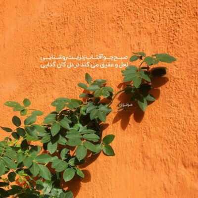 دانلود آهنگ   در کل کسی بیا دور از این مردم بشیم کل زمین برای تو نبینم یوقت افسرده ای