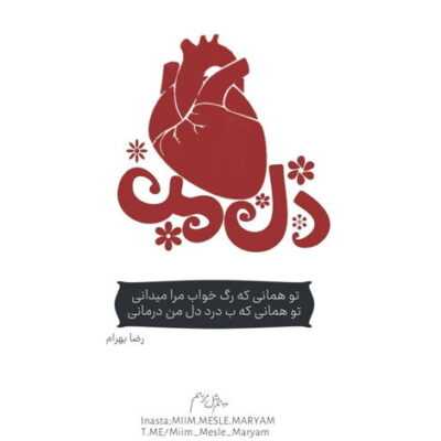 دانلود آهنگ پرنده ها مال ما نیستن دریا مال ما نیست زمین مال ما نیست حتی من مال تو نیستم