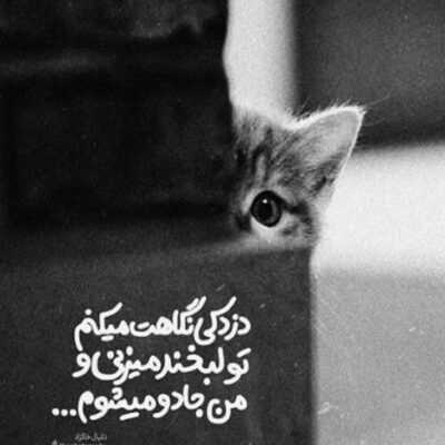 دانلود آهنگ تیکو تاکو میزنه خوبه راسته کار خودمه میخنده با نمکه من شاهمو اون ملکه