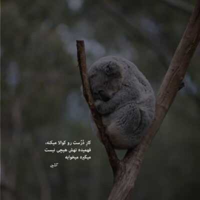 دانلود آهنگ چه خوبه با تو رفتن و رفتن تو میگی آروم حرفاتو با من مهدی جهانی دانلود آهنگ چه خوبه با تو رفتن و رفتن تو میگی آروم حرفاتو با من رو موج دریا رقص پای آب