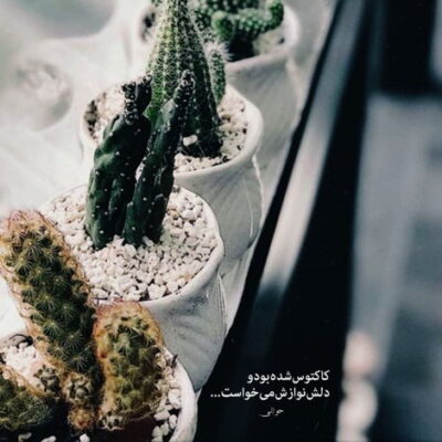 دانلود آهنگ  بهم بگو که چرا خوابم عجیبه واقعی نیست ولی باور پذیره همون لباس همیشگی تنته
