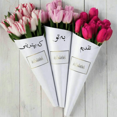 دانلود آهنگ سر به سرم میذاری به لب رسیده جونم