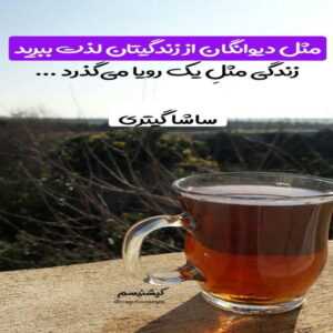 دانلود آهنگ روی هر اسمی خط زدم من کنارت صد از صدم تو که اینجایی ضربان دارم امیرعباس گلاب