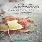 دانلود آهنگ وقتی میخندی دلم بی اختیار میکوبه واست عشقتو داره تو قلبم حجت صدفی دانلود آهنگ وقتی میخندی دلم بی اختیار میکوبه واست عشقتو داره تو قلبم حجت صدفی