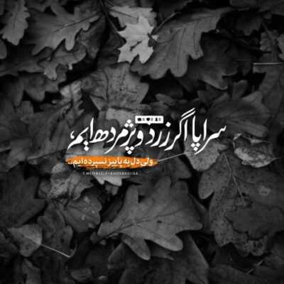 دانلود آهنگ  پاشو بیا جمع کن دلمو ببر تو بیا حال خرابمو بخر همه چی دست خودته اینو بفهم