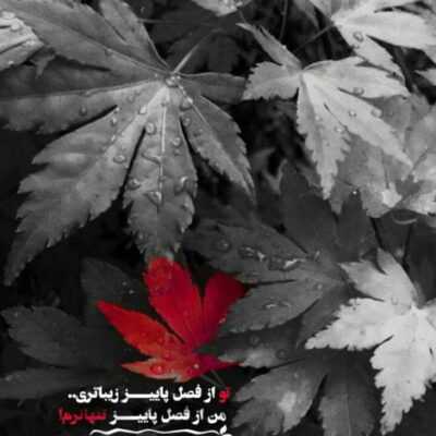دانلود آهنگ  همسفر توی قطاریم هم مسیریم ولی از هم فاصله داریم