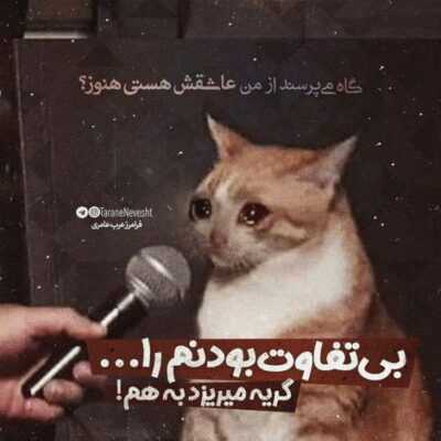 دانلود آهنگ  ا پنجره بیرونو نگا بدون تو هیج خبری نی پاشو یه کاری کن تو کی میخوای باشی ها