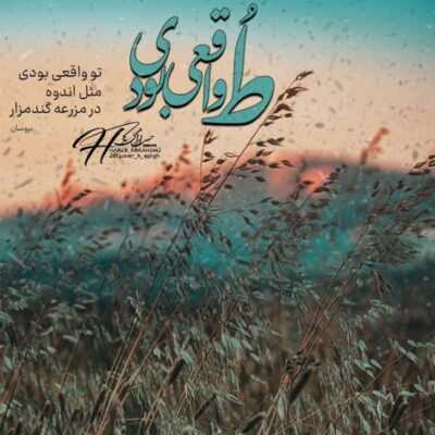 دانلود آهنگ  میکنه مغزمو میبره عقلمو دیوونه کرده منو هی‌ بالا پایین میکنه نبضمو