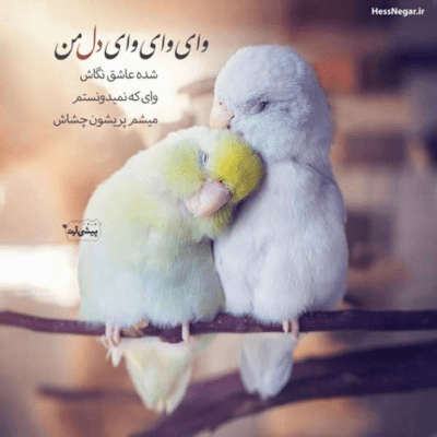 دانلود آهنگ حرفامو فقط اون روزامو میخوامو  نمیگم بی رحمی