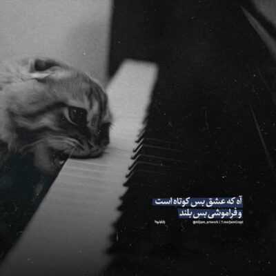 دانلود آهنگ دله بی تاب چشم بی خواب تو رو میخواد منو دریاب