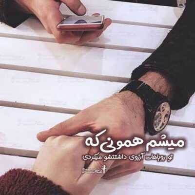 دانلود آهنگ این دله دیوونه تورو دیدو عاشق شد بی بهونه این خونه زندونه 