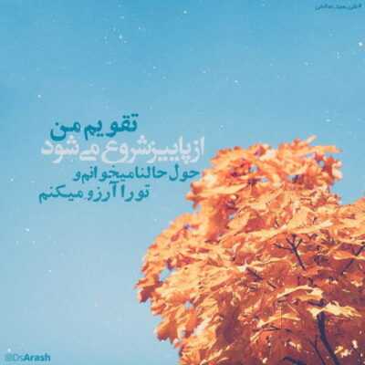 دانلود آهنگ  بیب بیب برو کنار زود یه بلدزر داره میاد تو ترمزشم بریده 