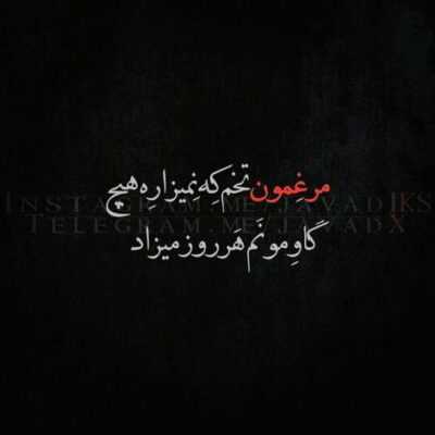 دانلود آهنگ بو بکش هواشو بو ببکش اینجا تهرانه هواشو بو بکش