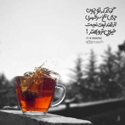 دانلود آهنگ گل من از من دوره الان باهام بد شده دلم نمیاد از جایی خودش رو پرت کنه