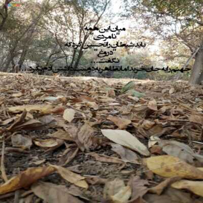 دانلود آهنگ یه روز گفتی دوست دارم یه روز رفتی که رفتی مثه بغضی سر راه نفسهامو گرفتی