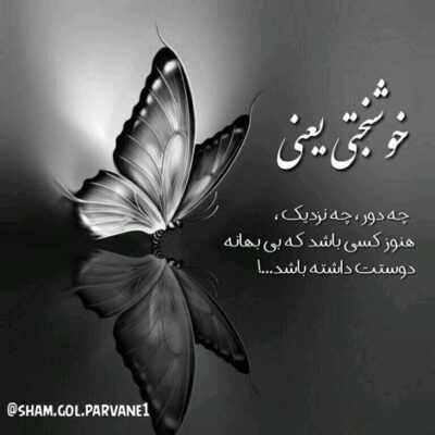 دانلود آهنگ  رفتی سراغ دشمنم یه پست نامرد حسود یکی که حتی به خدا لنگه ی کفشمم نبود
