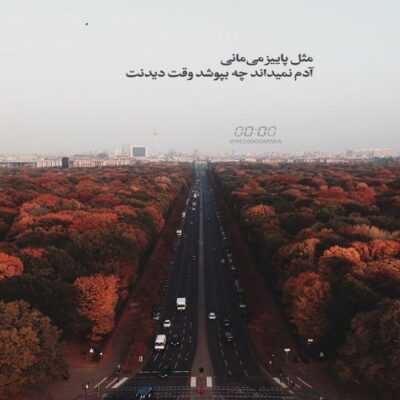 دانلود آهنگ  دیدم تورا شدم دیوانه شدم چو شمع و تو پروانه 