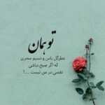 دانلود آهنگ وای وای تویی که بردی دلمو وای وای میگفتی دوست دارم و امید حاجیلی دانلود آهنگ وای وای تویی که بردی دلمو وای وای میگفتی دوست دارم و امید حاجیلی