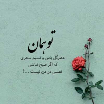 دانلود آهنگ وای وای تویی که بردی دلمو وای وای میگفتی دوست دارم و 